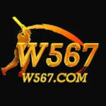 W567 Game