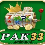 PAK33 GAME